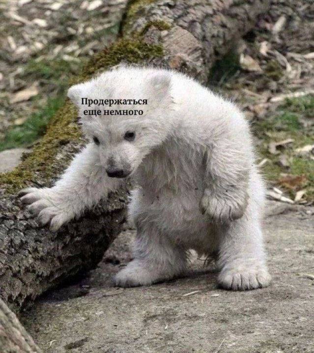 Продержаться еще немного у 7 3 4