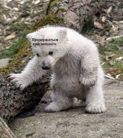 Продержаться еще немного у 7 3 4