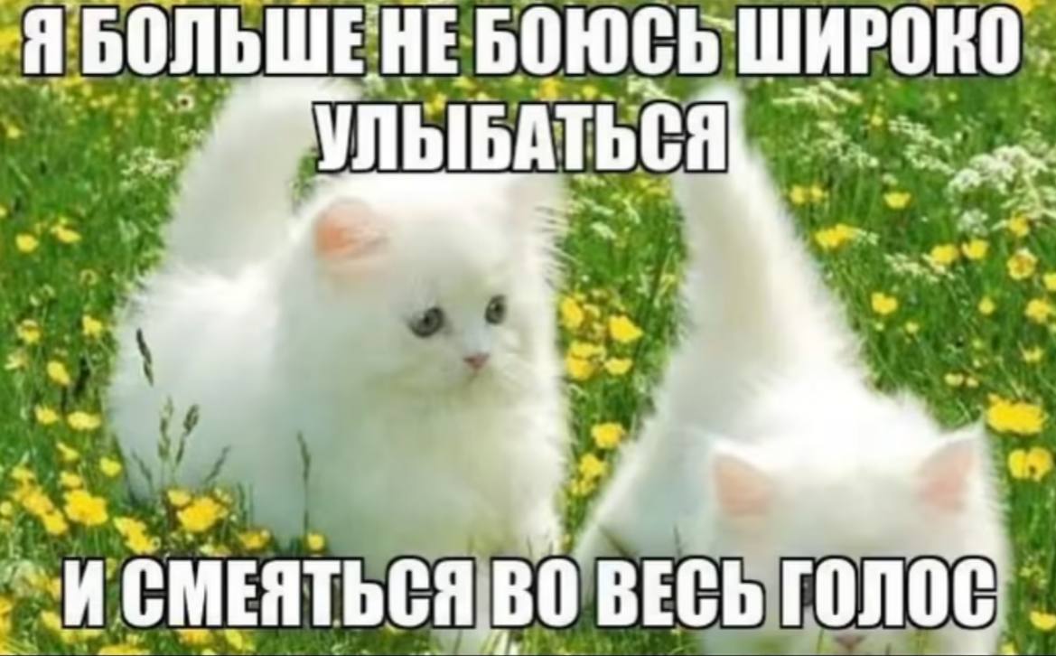 ЯБОЛЬШЕНЕБОЮСЬ 7. „А у a we i у А a.