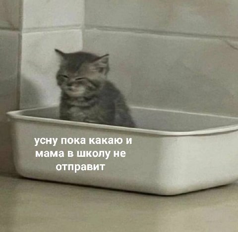 усну пока какаю и мама в школу не отправит