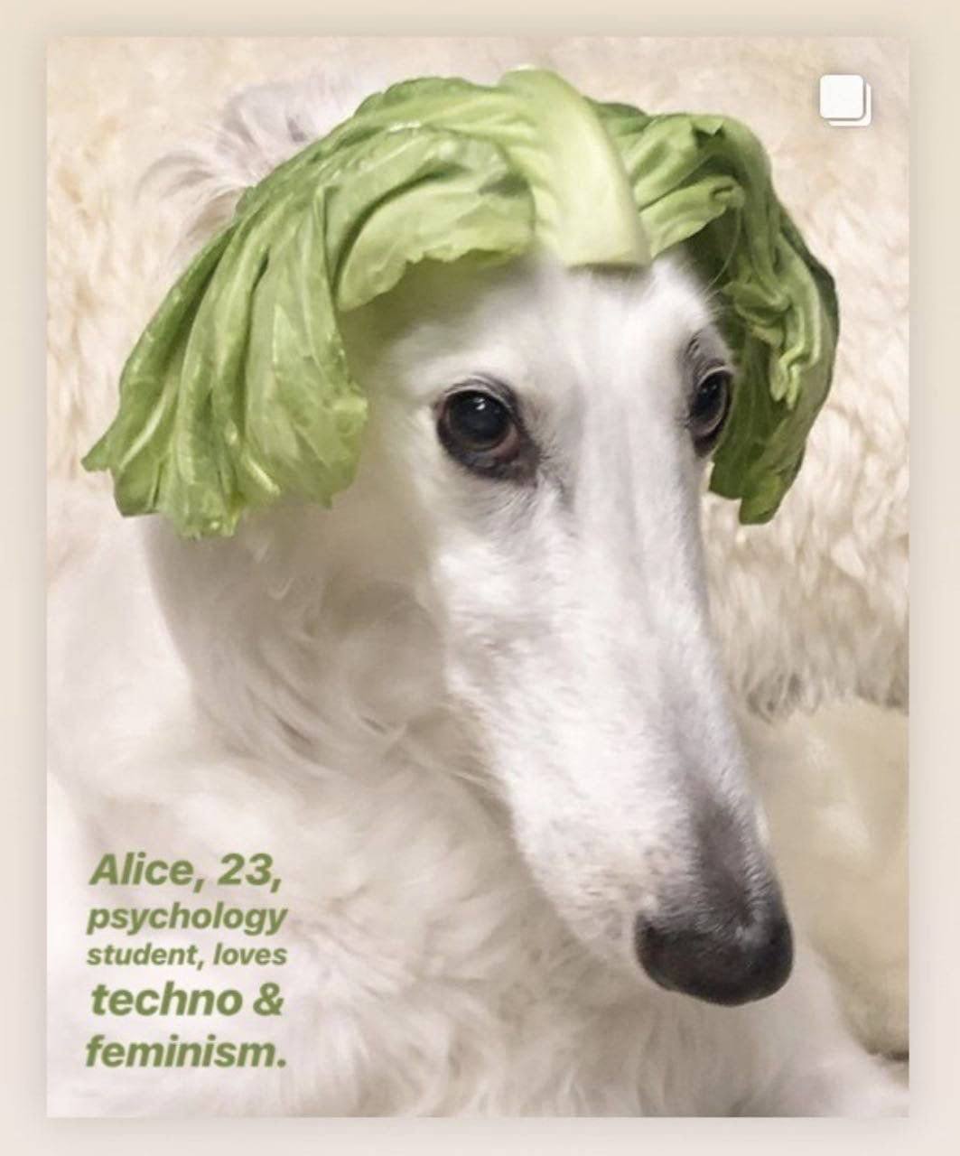 i“ Alice, 23, psychology student, loves techno feminism.