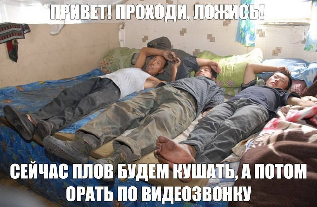 yal #9. СЕЙЧАС ПЛОВ БУДЕМ КУШАТЬ, А ПОТОМ ОРАТЬ ПО ВИДЕОЗВОНКУ