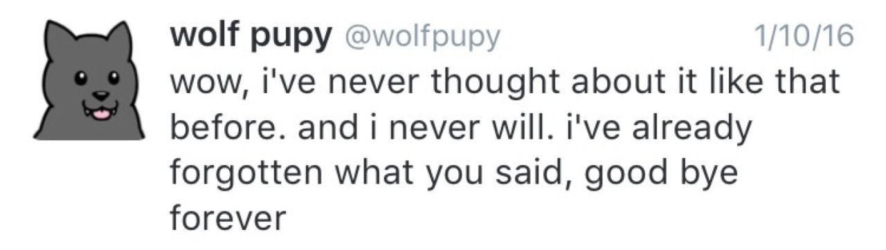 wolf pupy @wolfpupy 1/10/16 wow, I've never thought about it like that before. and i never will. I've already forgotten what you said, good bye forever