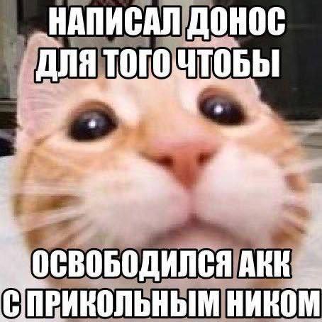 via @g_wrd