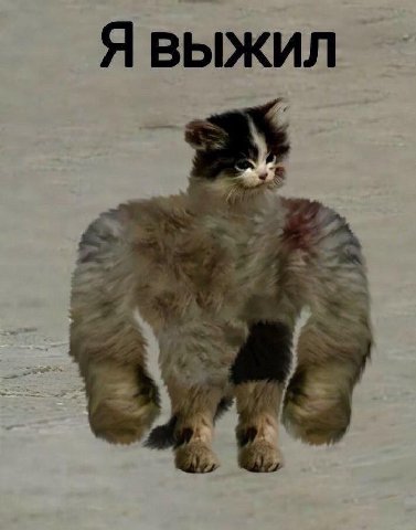 Я ВЫЖИЛ