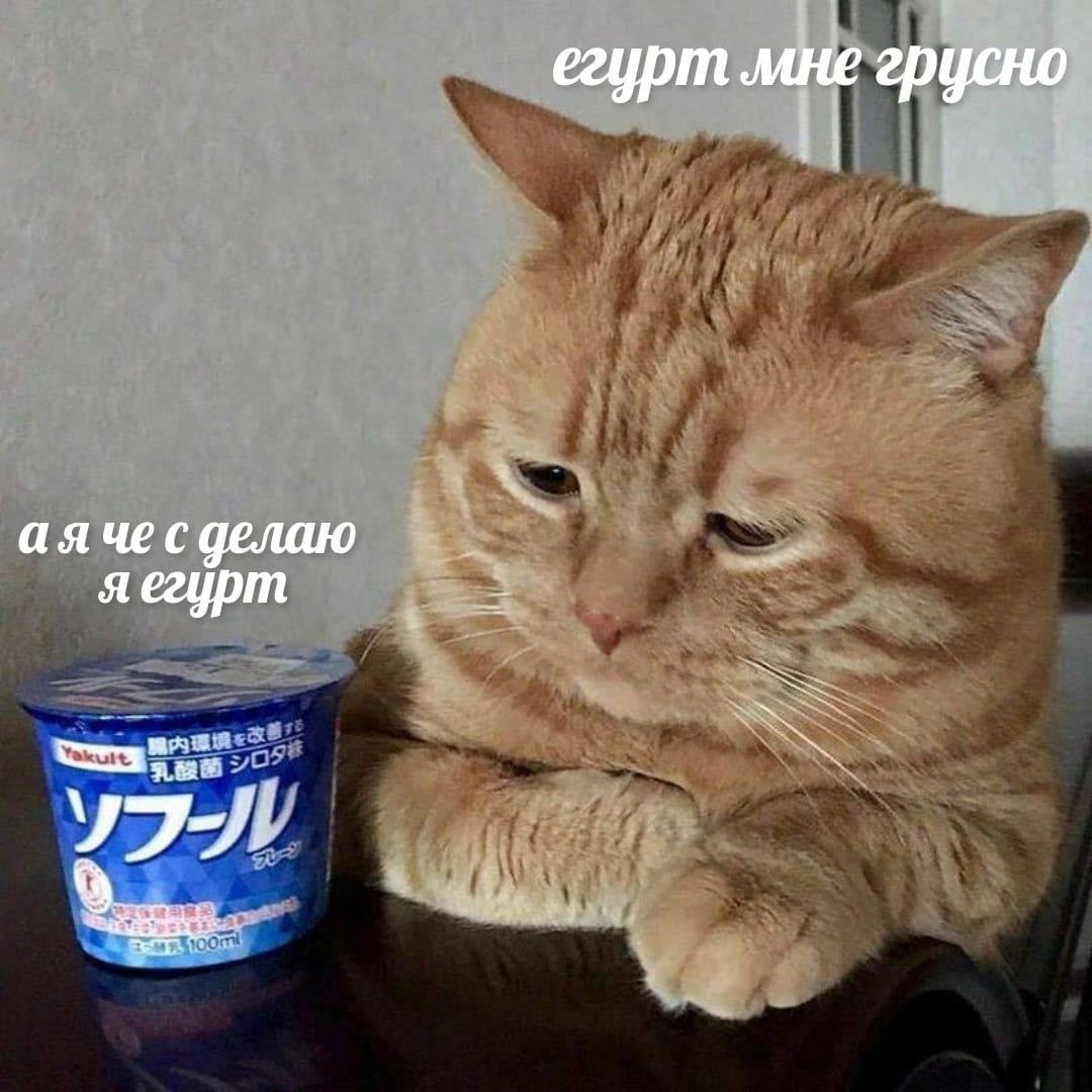 егурт мне грусно чес делаю яегурт