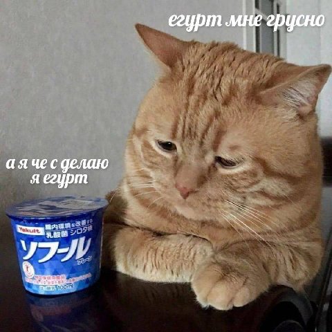 егурт мне грусно чес делаю яегурт
