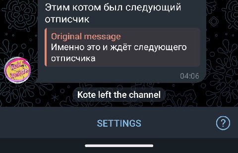 Этим котом был следующий ОТПИСЧИК Original message Именно это и ждёт следующего отписчика 39 04:06 Kote left the channel SETTINGS