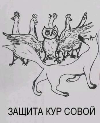 ЗАЩИТА КУР СОВОЙ