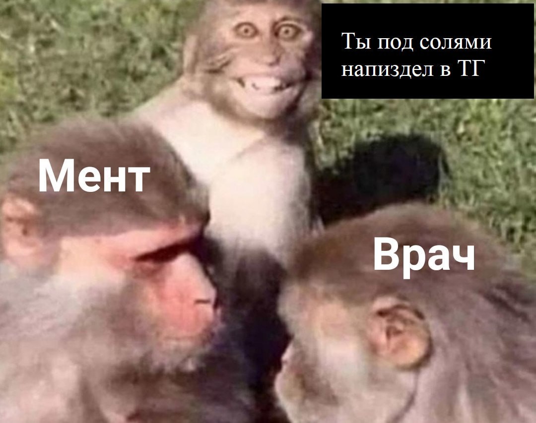 Ты под солями напиздел в Мент Врач Я
