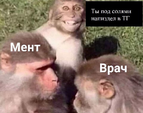 Ты под солями напиздел в Мент Врач Я
