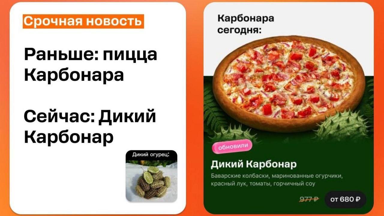 Окак. Дикий огурец В С Ё, умная лабуба в очках скачать обои ловит даже не парковке🐽 чилловый бомбардиро огурило дуреет с этой прикормки