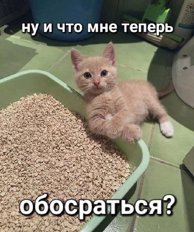 и что мне теперь a ЬСЯ