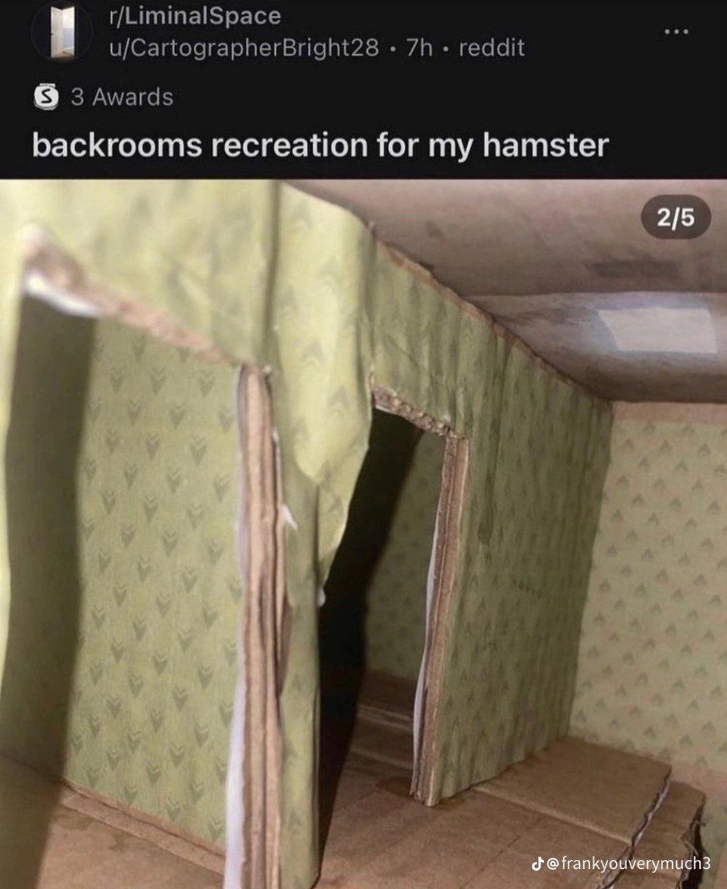 r/LiminalSpace u/CartographerBright28 reddit 3 Awards backrooms recreation for my hamster