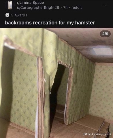 r/LiminalSpace u/CartographerBright28 reddit 3 Awards backrooms recreation for my hamster