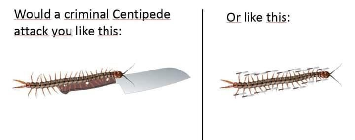 Would а criminal Centipede Or like this: attack you like this: