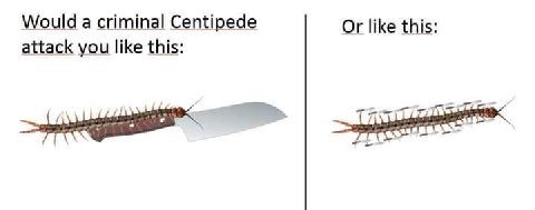 Would а criminal Centipede Or like this: attack you like this: