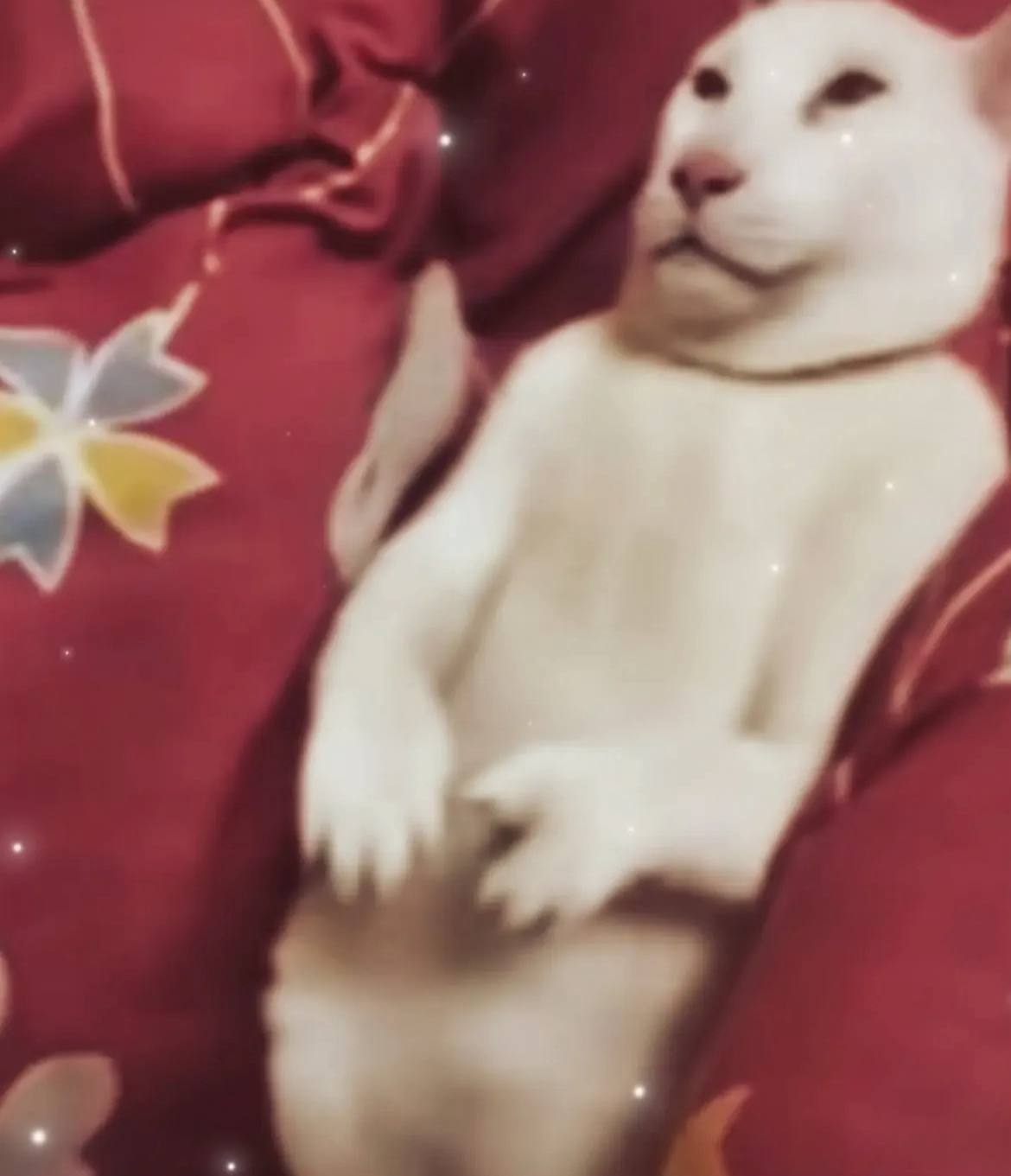 \ a | к г