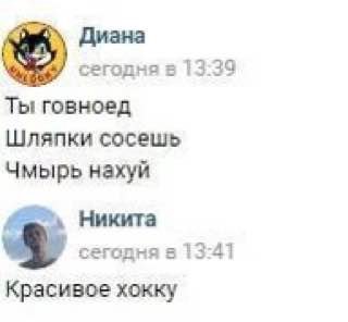 Диана сегодня в 13:39 Ты говноед Шляпки сосешь Чмырь нахуй Никита сегодня 13:41 Красивое хокку