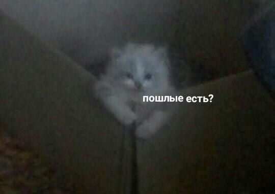 пошлые есть?