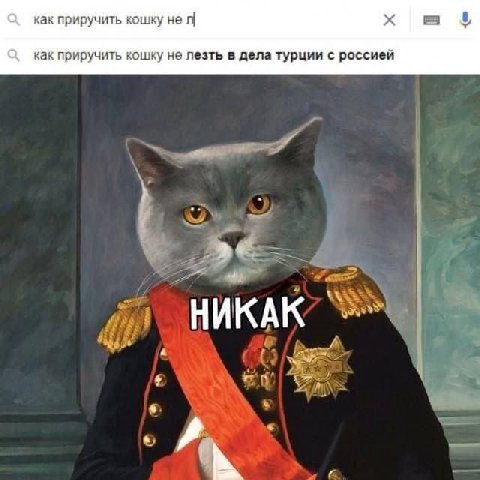 как приручить кошку не как приручить кошку не лезть в дела турции с россией yyy НИКАК