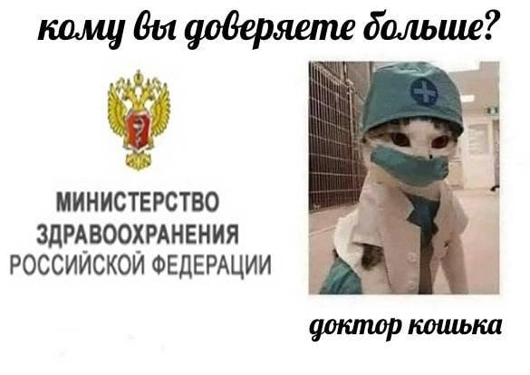 кому вы goGepseme больше? МИНИСТЕРСТВО ЗДРАВООХРАНЕНИЯ РОССИЙСКОЙ ФЕДЕРАЦИИ доктор кошька