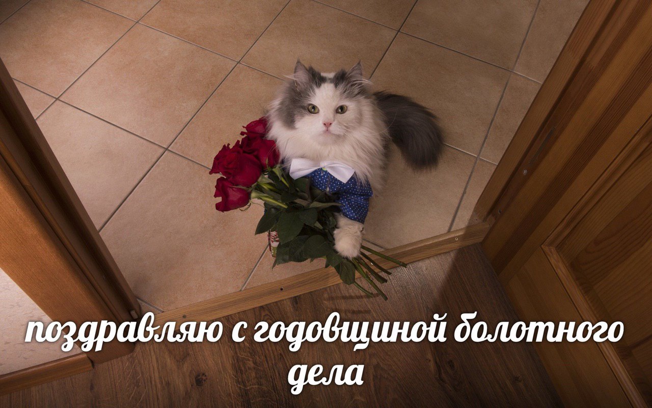 поздравляю с годобщиной дела