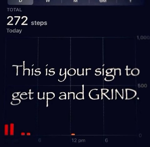 272 steps This is your sign to get up and GRIND.