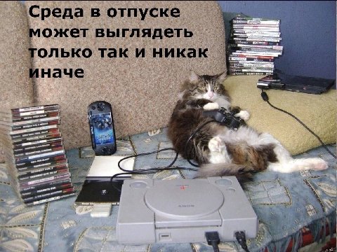 Среда в отпуске ожет выглядеть. олько так и никак наче