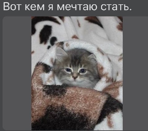 Вот кем я мечтаю стать.