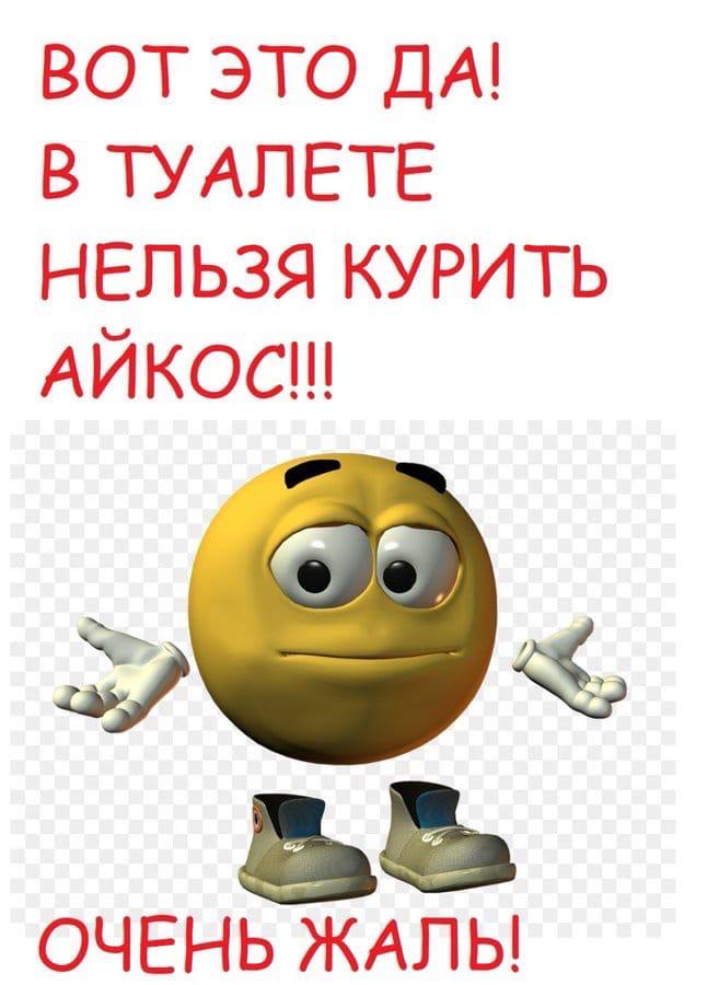 ВОТ ЭТО ДА! В ТУАЛЕТЕ НЕЛЬЗЯ КУРИТЬ АЙКОС! ole ОЧЕНЬ ЖАЛЬ!