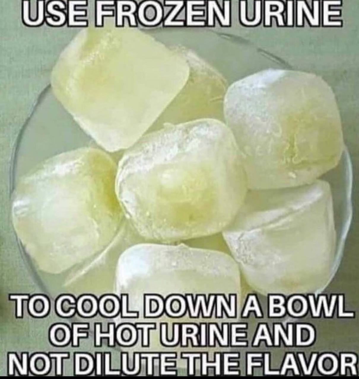 USE FROZEN URINE a ТО DOWN A BOWL OF AND NOT DILUTE THE FLAVOR