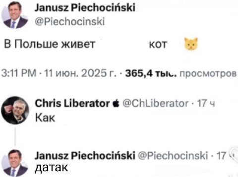 Janusz @Piechocinski В Польше живет кот 3:11 11 июн. 365,4 тьк.. просмотров Chris Liberator 17 Как Janusz @Piechocinski датак
