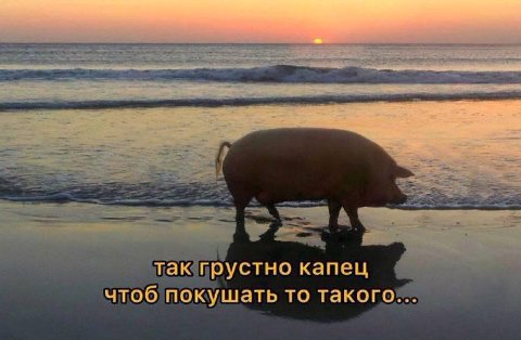 так грустно капец чтоб покушать то такого...