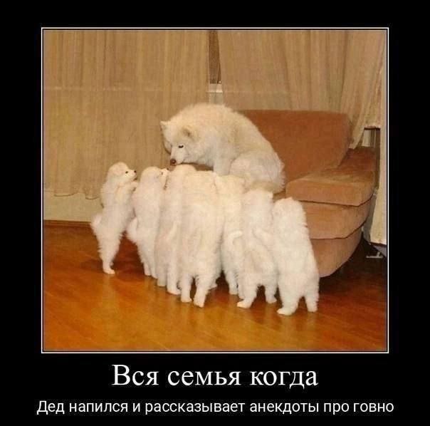 A Вся семья когда Дед напился и рассказывает анекдоты про говно