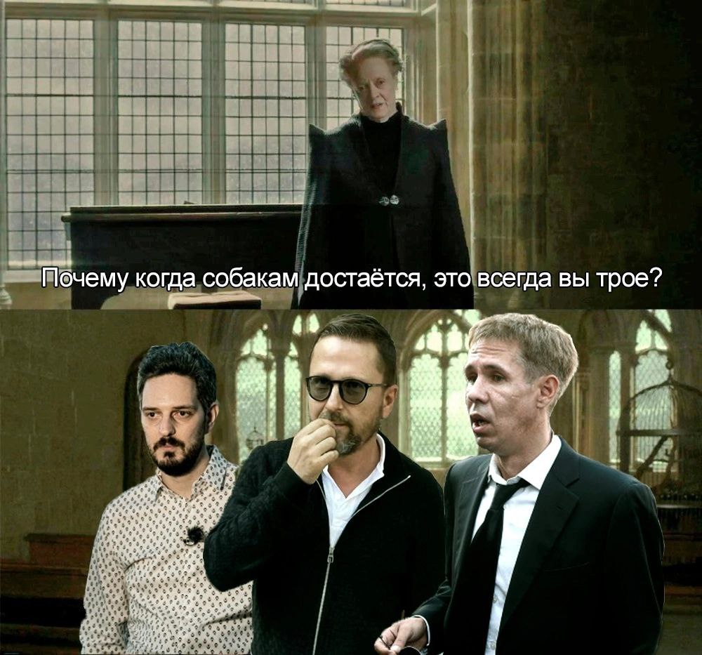Почему когда собакам достаётся, это всегда вы трое? sab 2 4