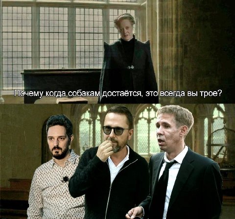 Почему когда собакам достаётся, это всегда вы трое? sab 2 4