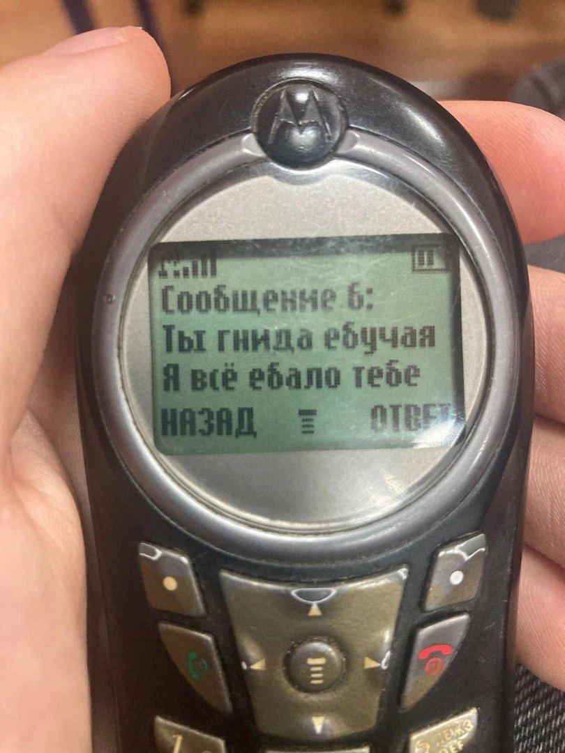 a 6: Мы ебучая {1