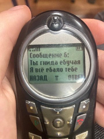 a 6: Мы ебучая {1
