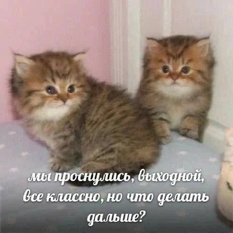мы проснулись, выходной, Gce классно, но что делать дальше?