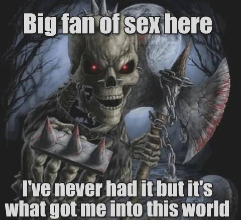 Big fan of sex here never had it what got me into this world