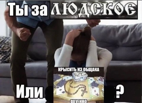КРЫСИТЬ ИЗ ОБЩАКА
