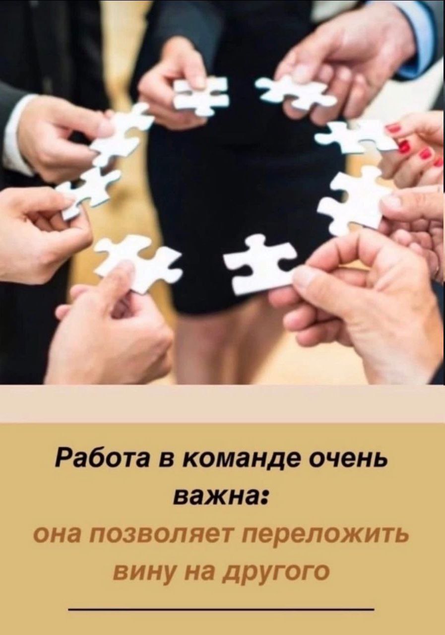 Работа в команде очень важна: она позволяет переложить вину на другого