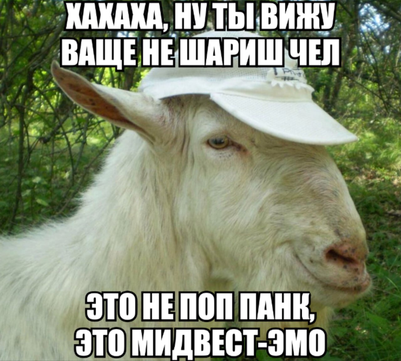 ХАКАКА, НУТЬ ВИЖУ ВАЩЕНЕШАРИШЧЕЛ ЭТО НЕПОП ПАНК. ЭТО МИДВЕСТ-ЭМО