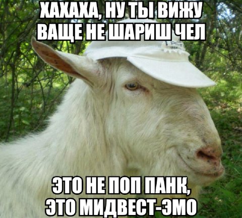 ХАКАКА, НУТЬ ВИЖУ ВАЩЕНЕШАРИШЧЕЛ ЭТО НЕПОП ПАНК. ЭТО МИДВЕСТ-ЭМО
