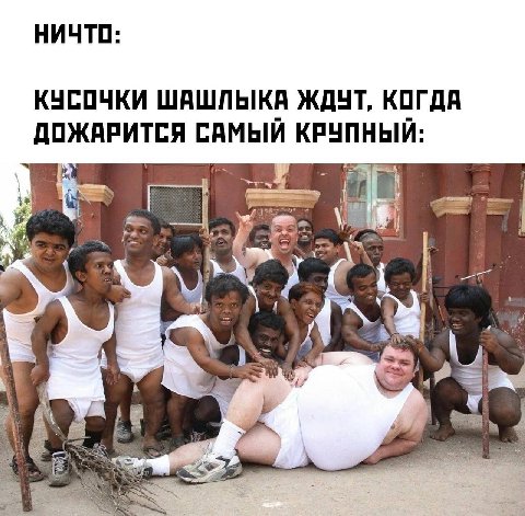 НИЧТО: КУСОЧКИ ШАШЛЫКА ЖДУТ, КОГДА ДОЖАРИТСЯ САМЫЙ КРУПНЫЙ: