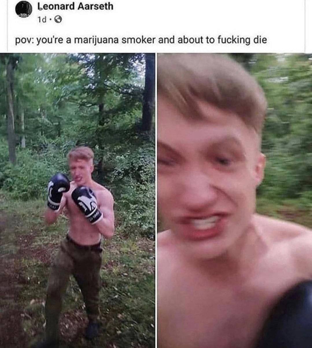 Leonard Aarseth pov: you're a marijuana smoker and about to fucking die