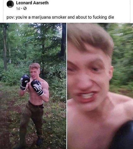 Leonard Aarseth pov: you're a marijuana smoker and about to fucking die