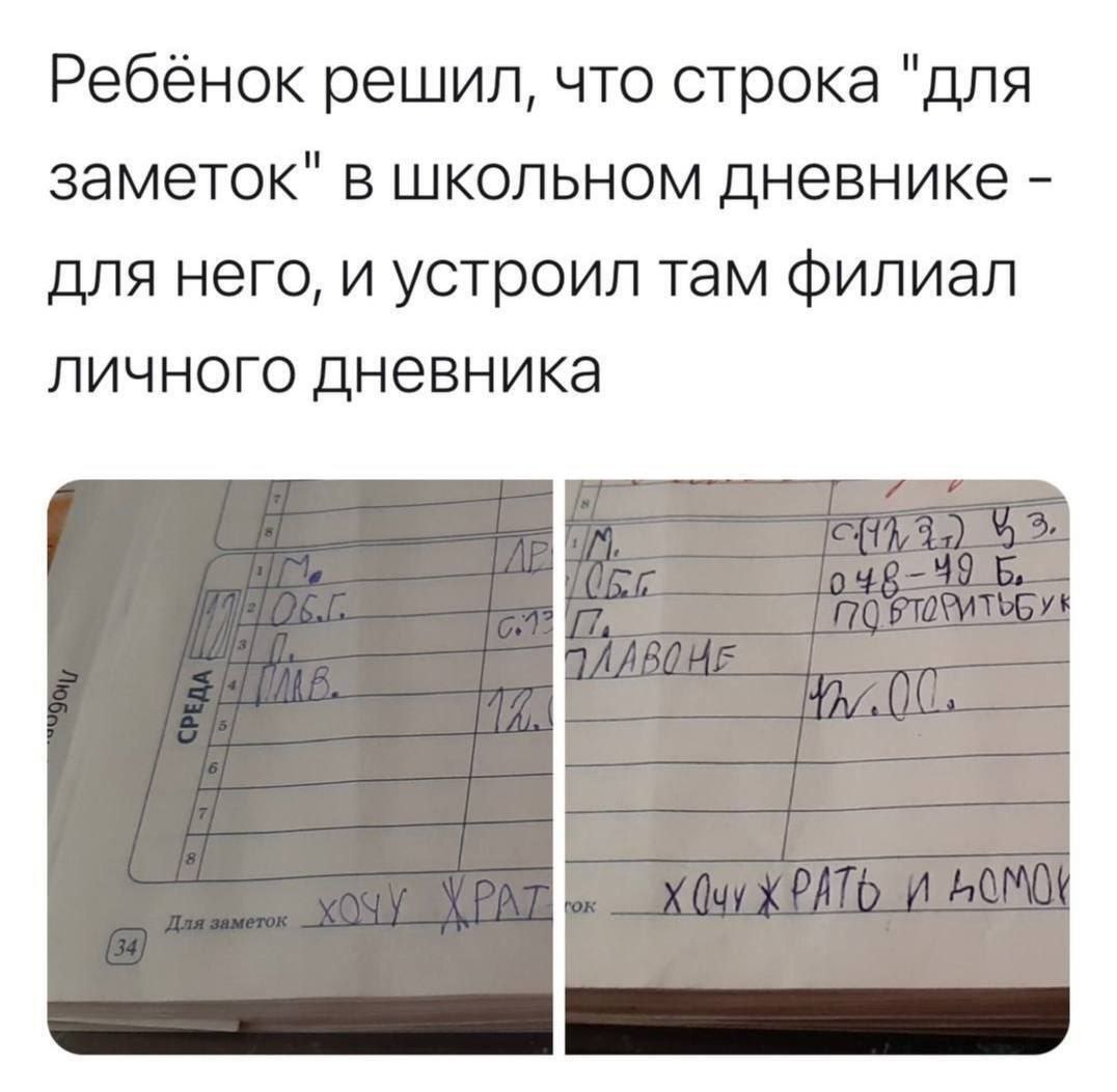 Ребёнок решил, что строка "для заметок" в школьном дневнике для него, и устроил там филиал личного дневника