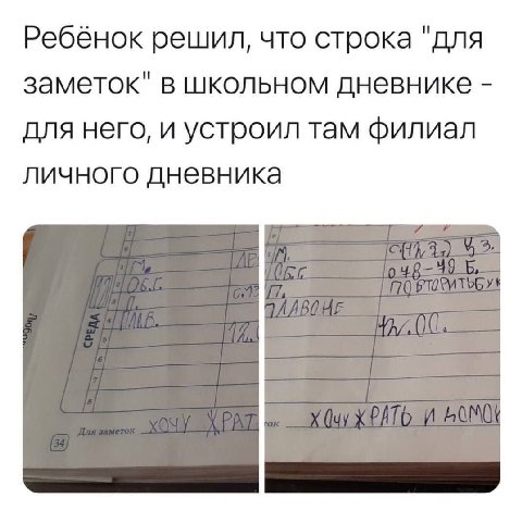 Ребёнок решил, что строка "для заметок" в школьном дневнике для него, и устроил там филиал личного дневника